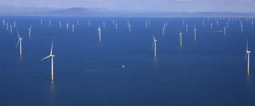 Northwest Europe Accelerates Offshore Wind Development Amid Trump’s Criticism