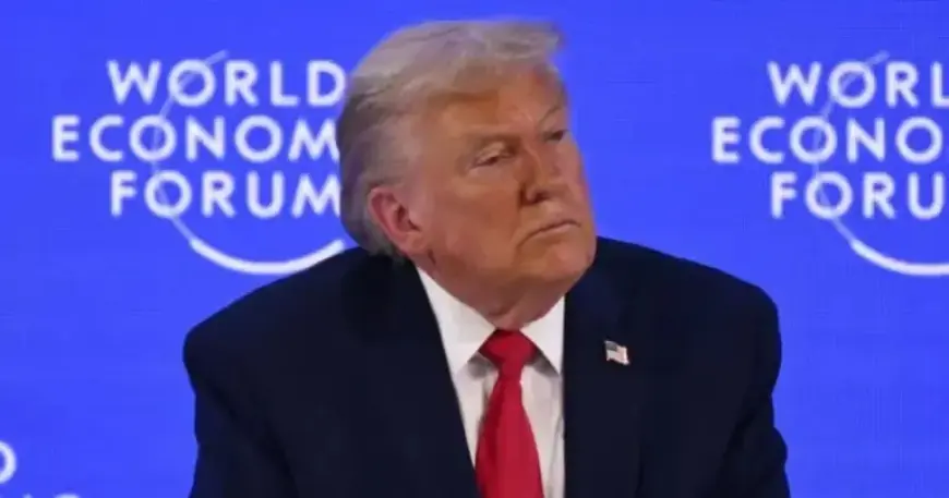 CNN Panelist Faces Laughter Defending Trump’s Slip-Up