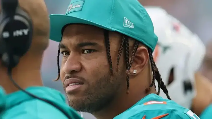 Jeff Hafley Crafts Offense Strategy Dolphins Fans Will Love