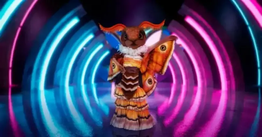 Unmasking Moth: Clues and Theories Behind The Masked Singer Star