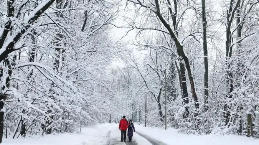 Benefits of Outdoor Winter Activities for Health and Wellbeing