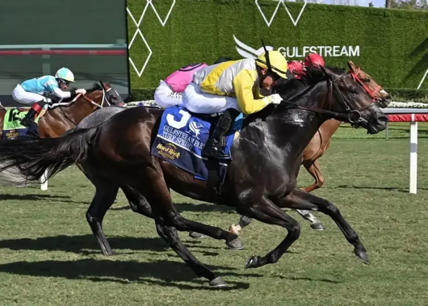 Litigation Triumphs in Gulfstream Park Turf Sprint Win