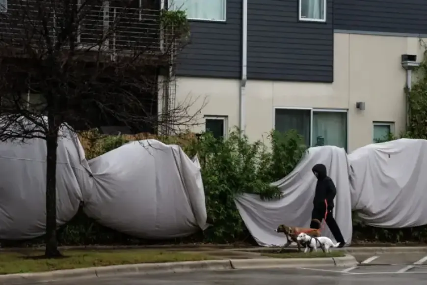 Austin Freezing Weather: Hourly Forecast Revealed