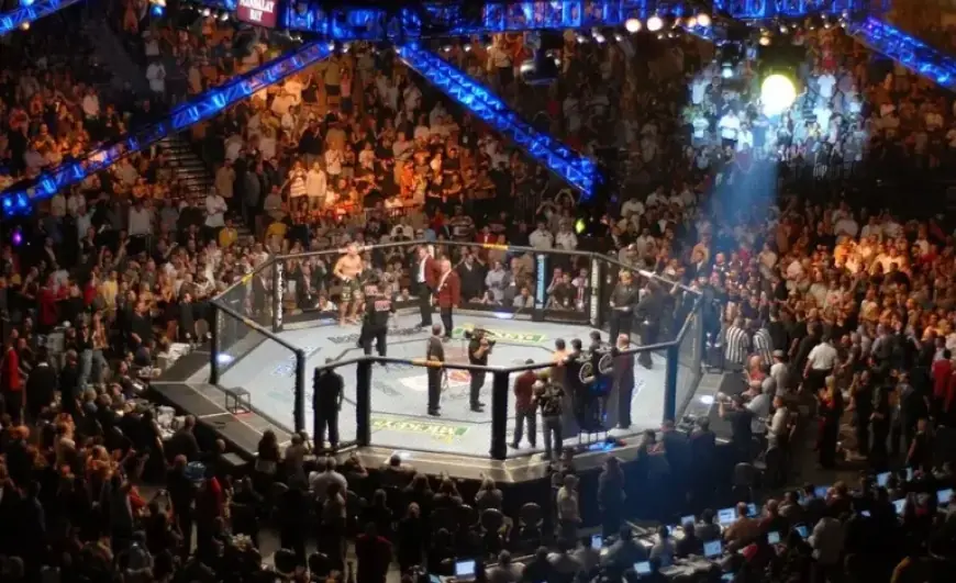 UFC 325: Volkanovski vs. Lopes 2 – Preview, Odds, and Prediction