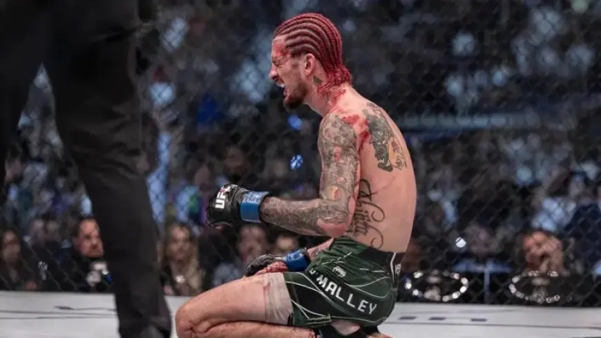 UFC 324: Expert Predictions and Odds for O’Malley vs. Yadong