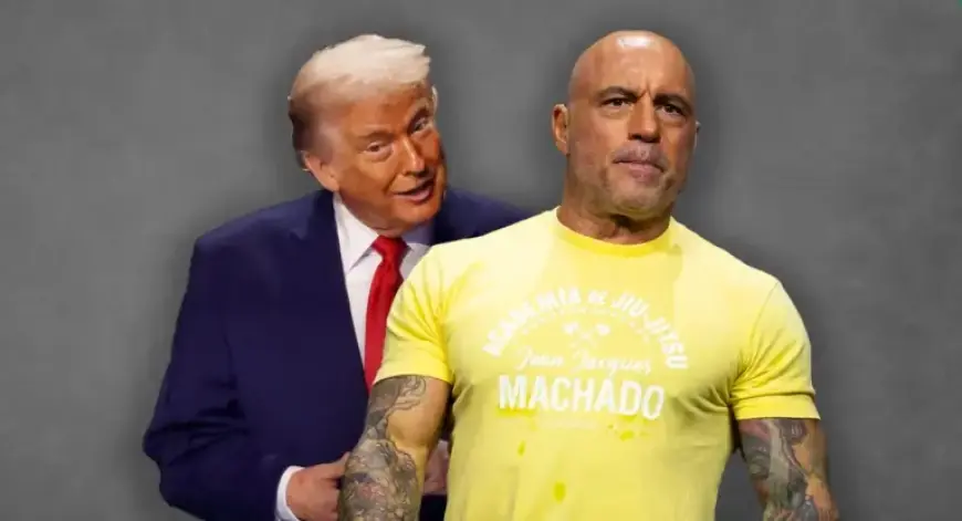 Joe Rogan Ends Affiliation with Donald Trump