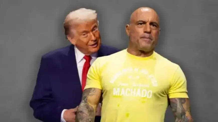 Joe Rogan Severs Ties with Donald Trump