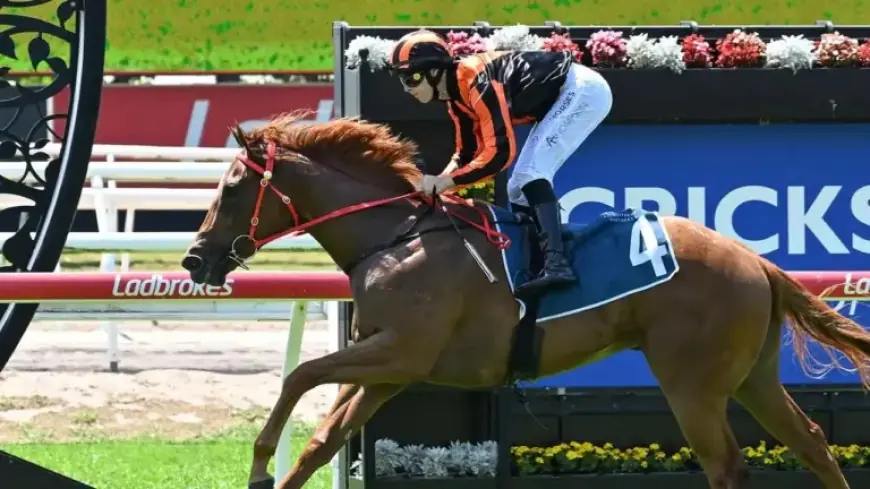 RV Stewards Investigate Offensive Slur in Social Media Post