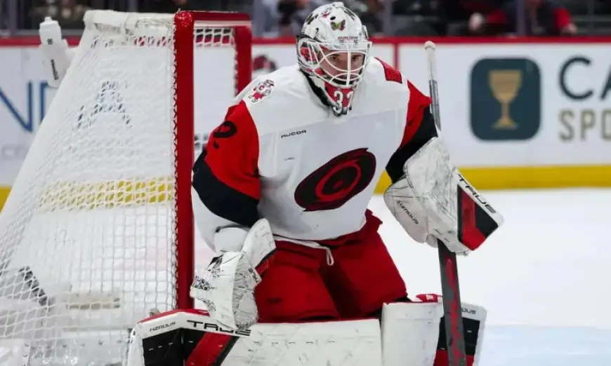 Hurricanes Pursue Contract Extension with Bussi