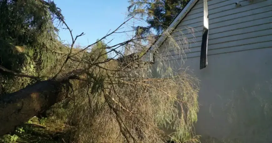 Ireland to Distribute Emergency Preparation Booklet to All Households Soon