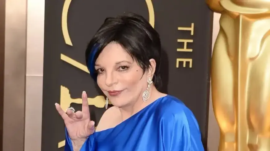 Liza Minelli Criticizes Trolls for Ignoring Truth About AI in New Song