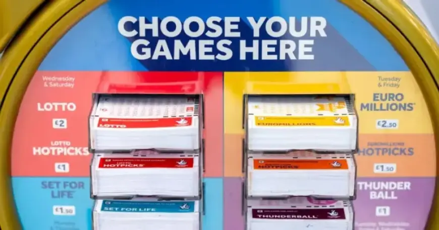 Set for Life £3.6m Jackpot Results: Find Out the Winner