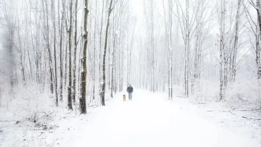 Columbus Braces for All-Day Heavy Snowfall on Sunday
