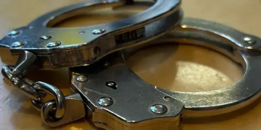 Woman’s Meat Smuggling Foiled in Clever Airport Sting