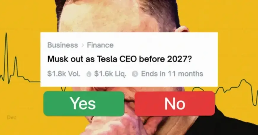 Elon Musk’s Missteps Propel Profits for Online Bettors