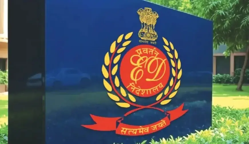 ED Raids Goa, Delhi, Haryana in Nightclub Fire Money Laundering Case