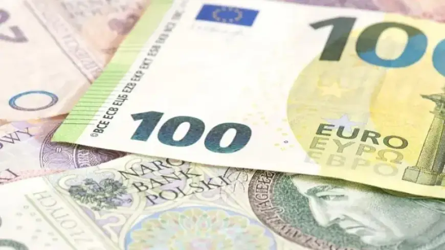 Poland’s Finance Minister Speaks on Euro Adoption