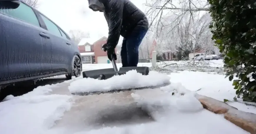 Winter Storm Forces NBA to Postpone Grizzlies vs. Nuggets Game