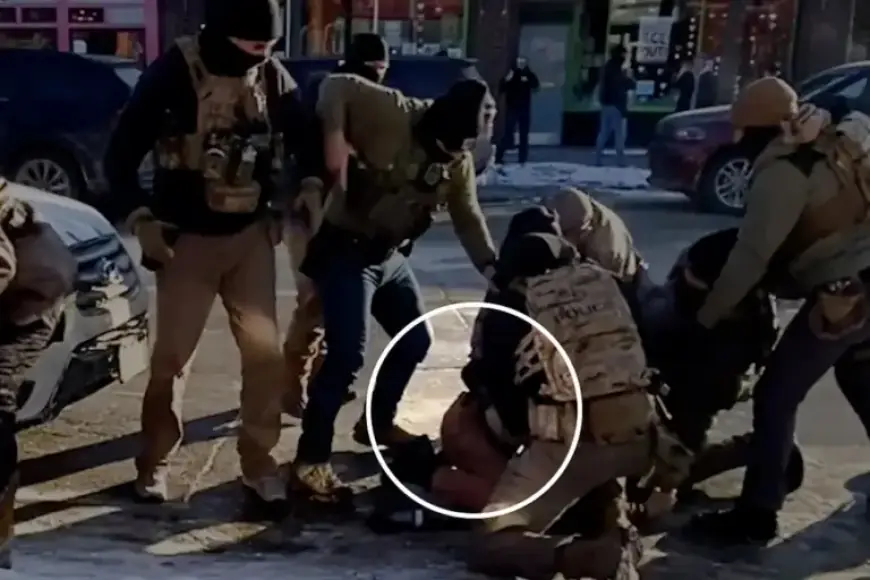 Agent Confirms Disarming Pretti Before Minnesota Shooting: Video Evidence