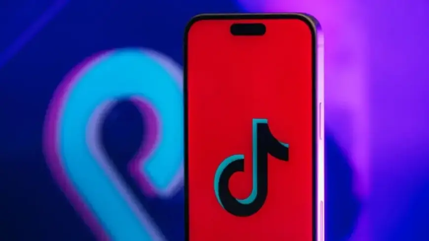 TikTok’s New Terms: Do They Track Race, Gender Identity, Immigration Status?