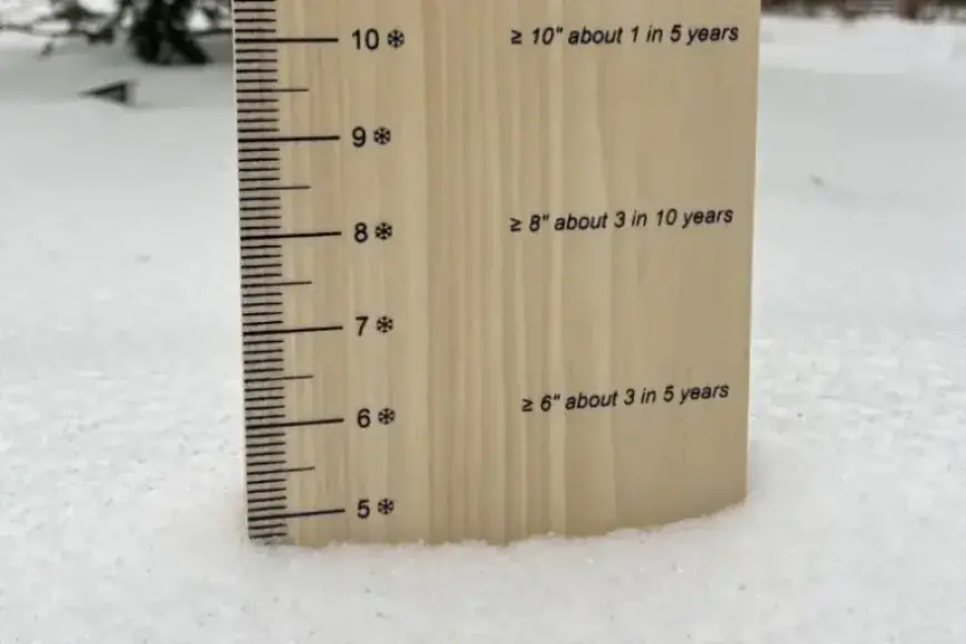 DC Region’s Top Snowfall Areas Revealed