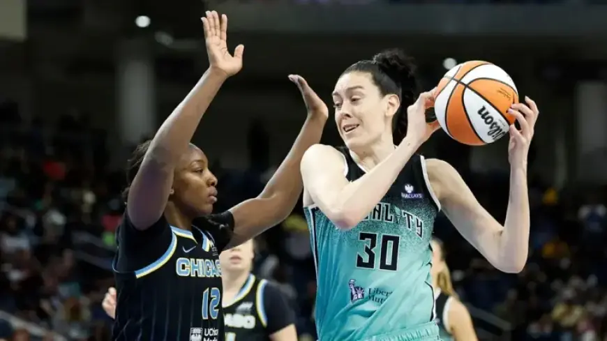 WNBA Star Breanna Stewart Urges ICE Abolition Before Unrivaled Game