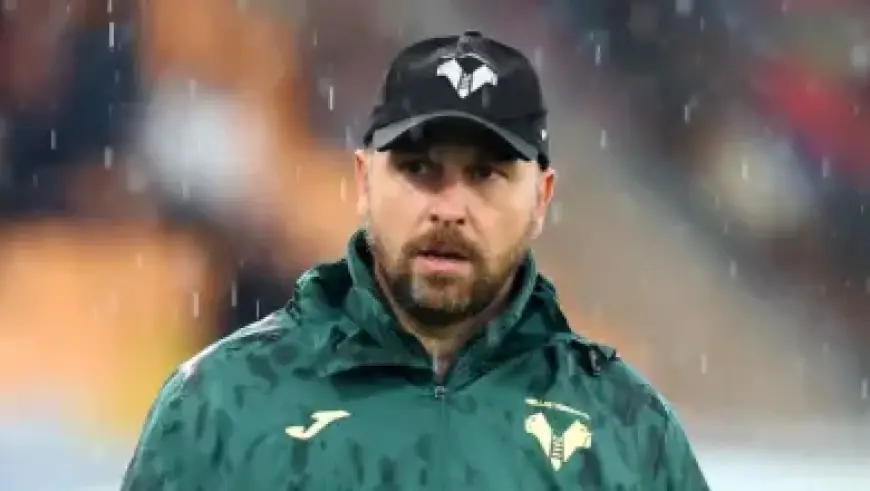 Tourist Saves Big on Bad Bunny Tickets Through Unique Cali Stay Strategy