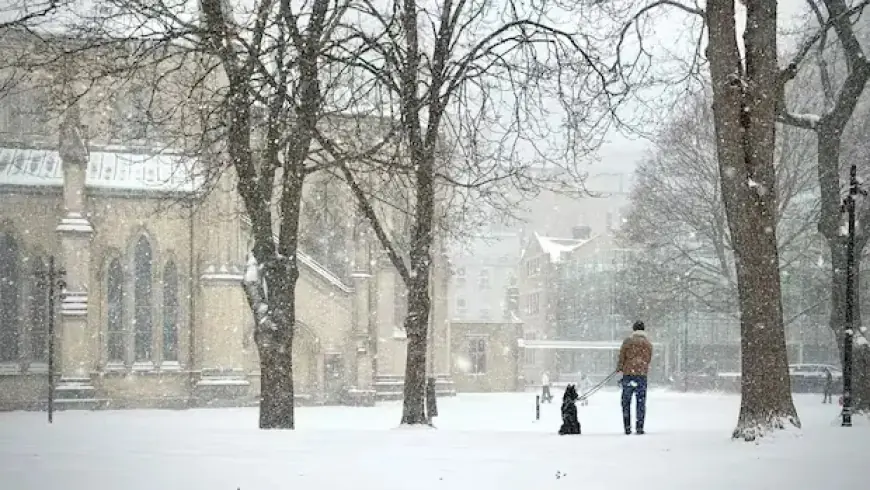 Snowstorm Hits GTA: Flight Cancellations and Hazardous Roads