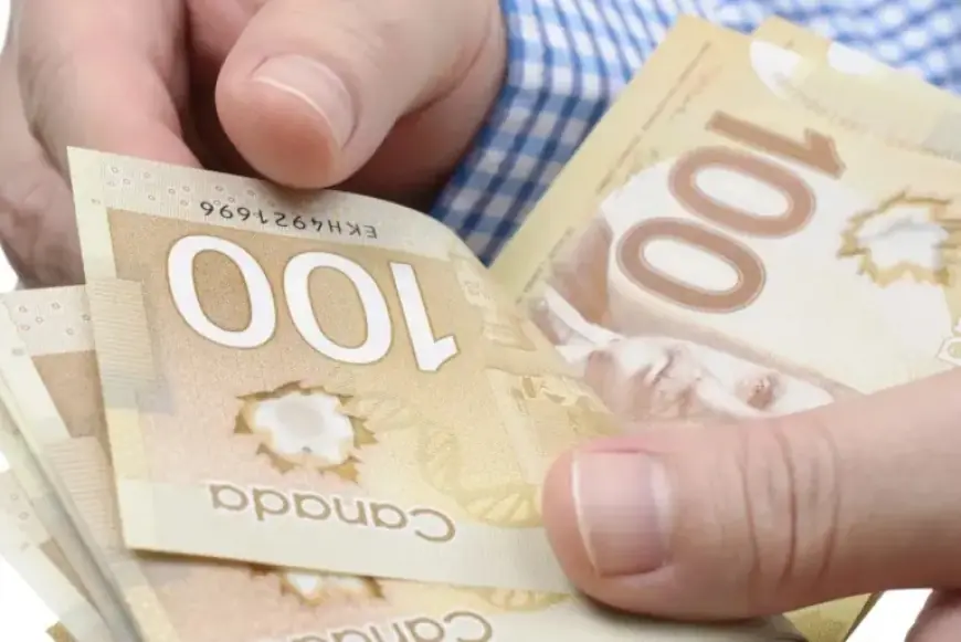 Canada Unveils New Employment Insurance Rules for 2026