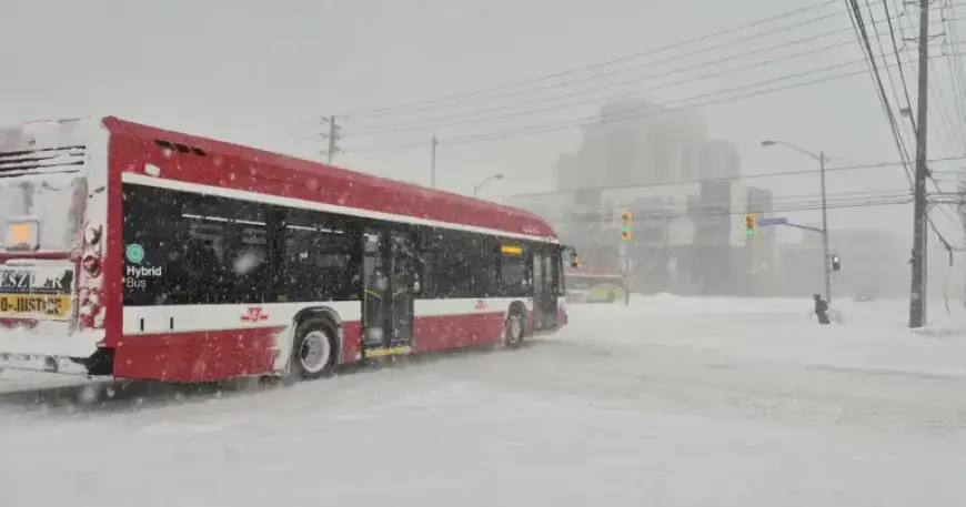 Winter Storm to Blanket Toronto, GTA with Up to 40 cm of Snow