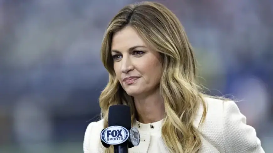 Erin Andrews Faces Backlash for Controversial Outfit Choice