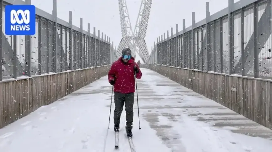 US Snowstorm Disrupts Flights and Causes Power Outages