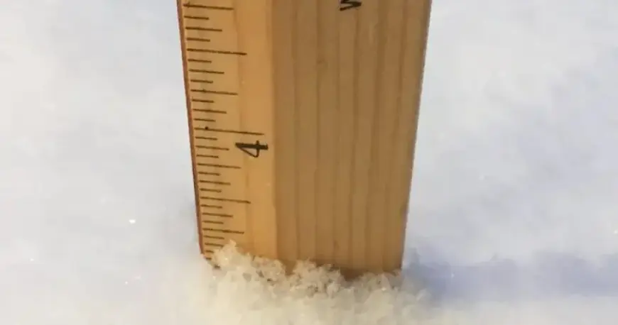 Pittsburgh’s Snowfall Total: See How Much Has Accumulated So Far