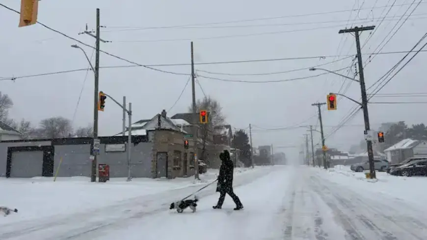Mayor Urges Hamiltonians to Avoid Roads and Check on Loved Ones Amid Storm