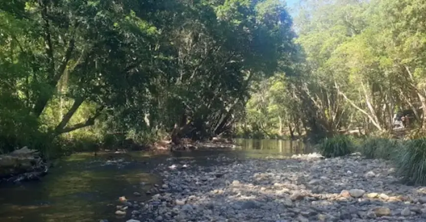 Two Men Dead, Woman Critical After NSW River Drowning