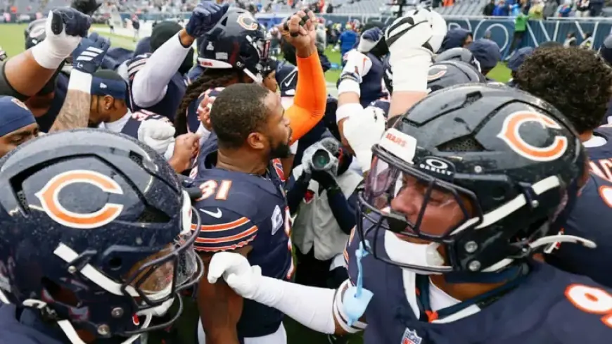 Bears Thrive in Remarkable Season, Eager for Greater Success