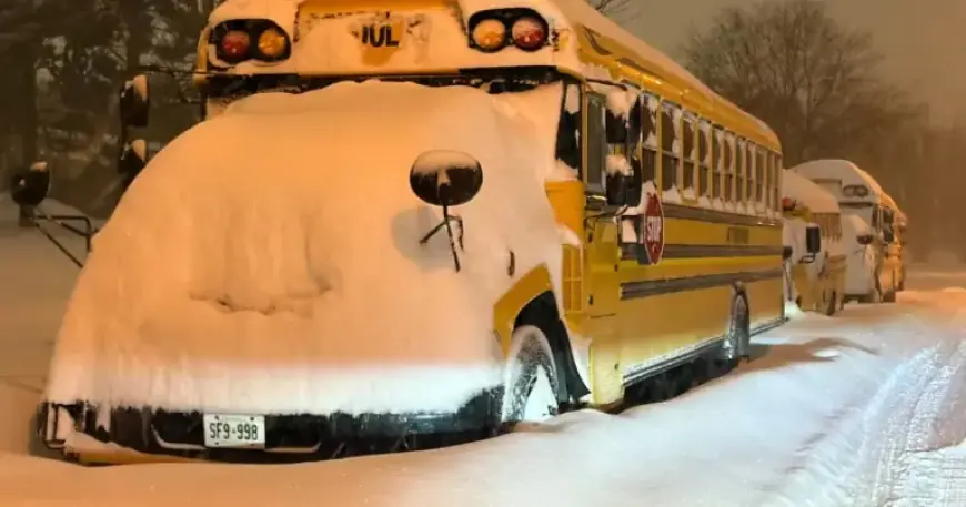 Massive Snowstorm Shuts Schools, Cancels Buses Across GTHA