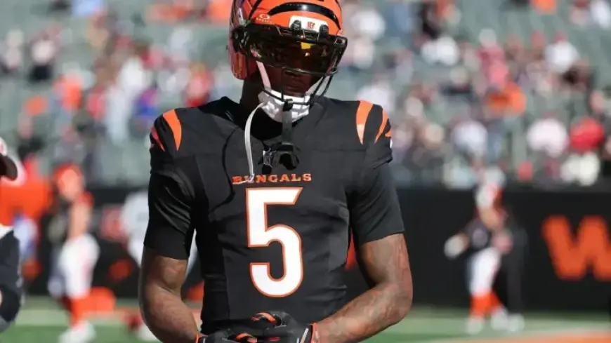 Bengals Revel in Unique Offseason Advantage Over Rival Teams