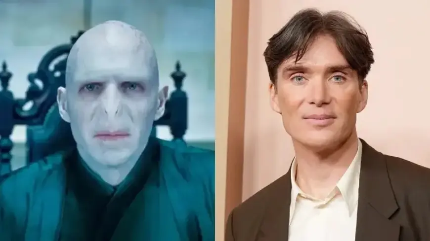 Ralph Fiennes Shares Cillian Murphy Updates for Harry Potter Series