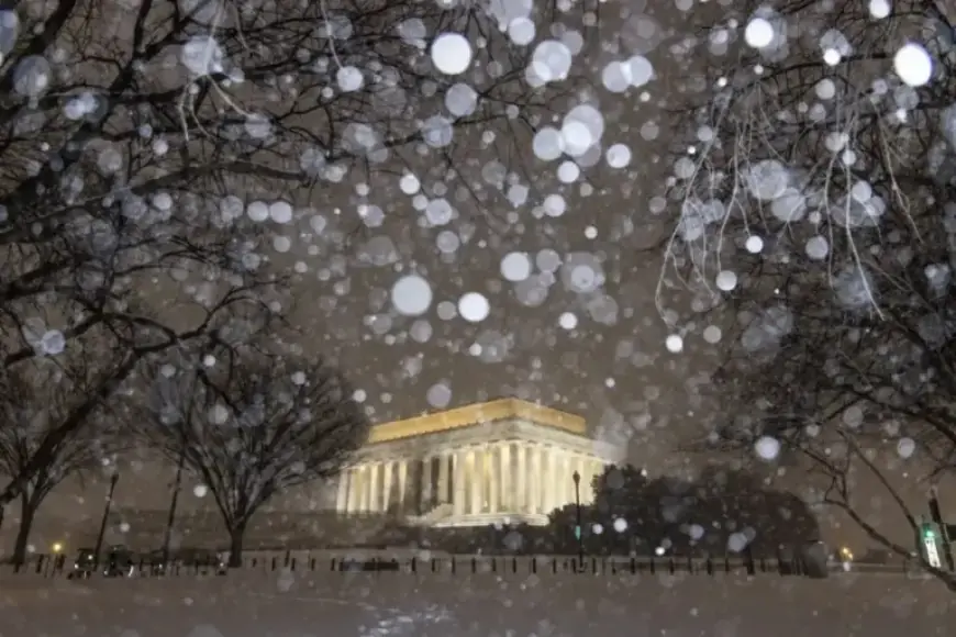 Major Winter Storm Strikes D.C. Region: Essential Details