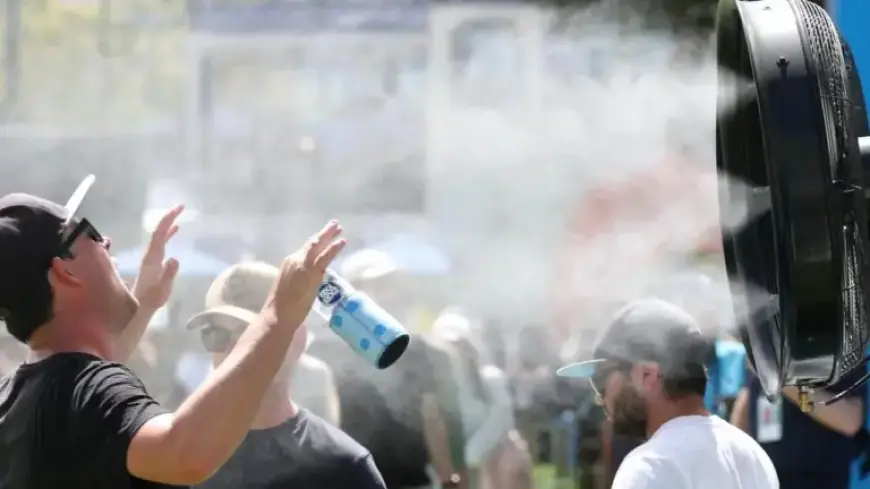 Channel 9 Rejects Star’s Odd Demand as Reigning Champion Falls