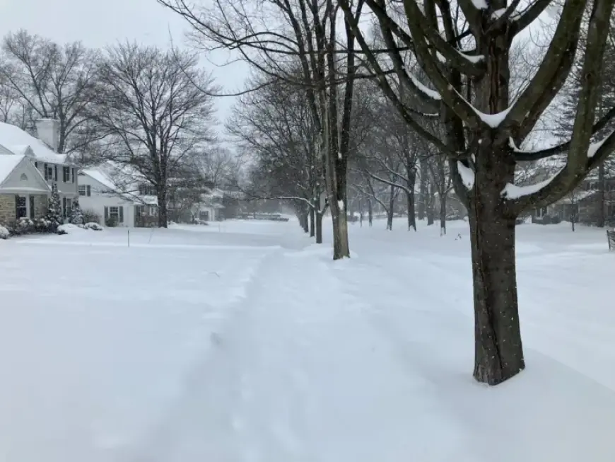 Winter Storm Fern: Early Snowfall Totals Revealed