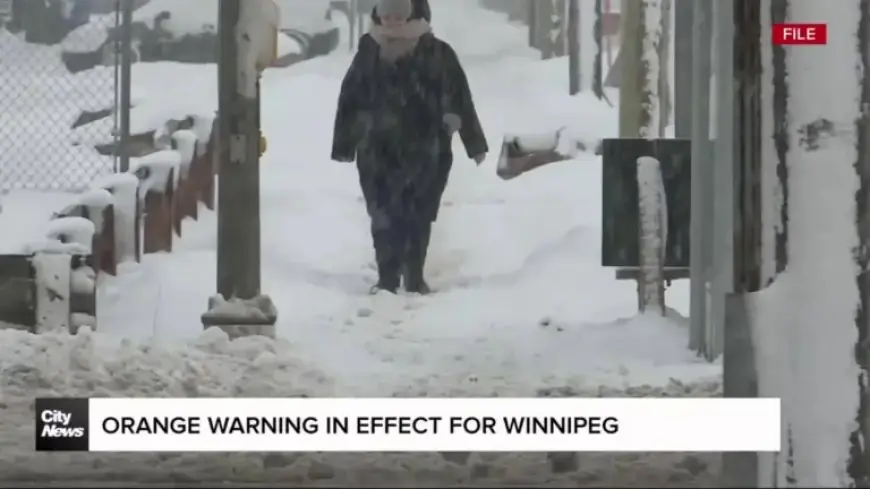 Orange Alert Issued for Winnipeg Weather Conditions