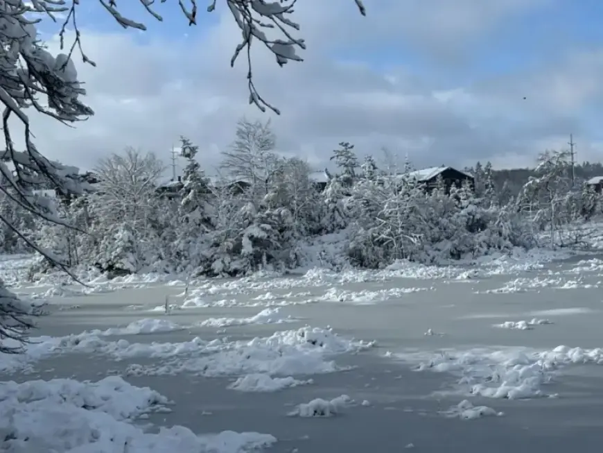 Nova Scotia Storm Forces Many School Closures