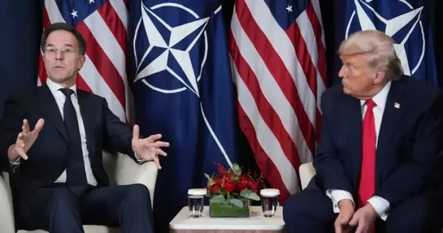 NATO Chief’s Greenland Agreement with Trump Stuns European Allies