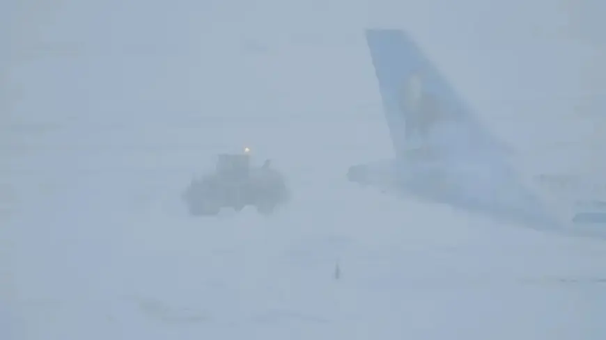 Deadly Winter Storm Fern Strikes Louisiana, Leaving Thousands Without Power