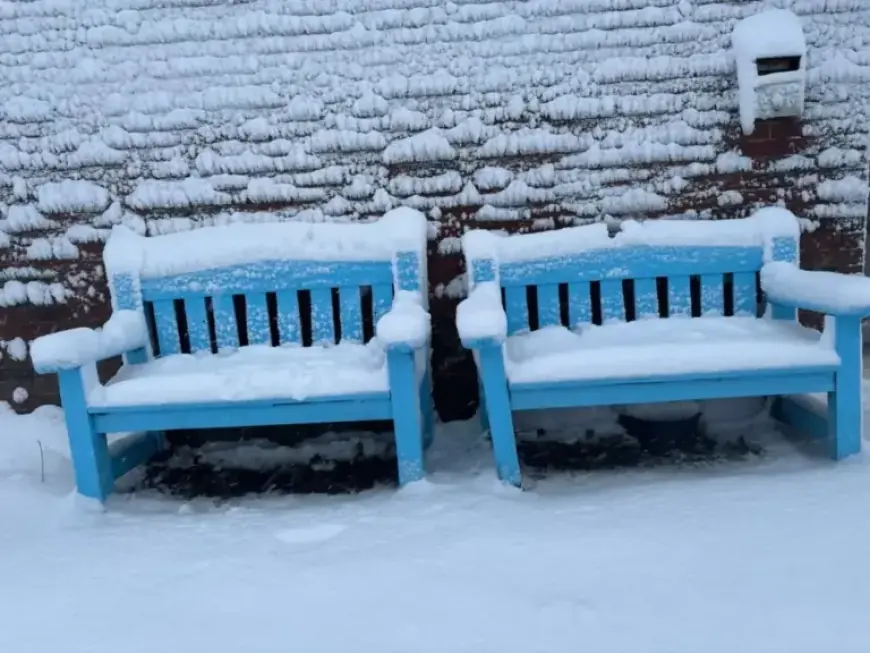 Snowfall Warning Triggers Delays and Closures Across P.E.I.