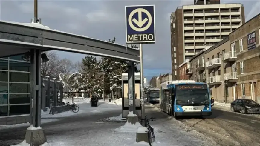 STM Experts Endorse December 31 Agreement