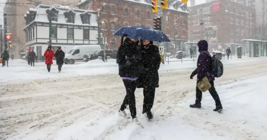 Toronto Battles Record Snowfall: School Closures and Subway Disruptions