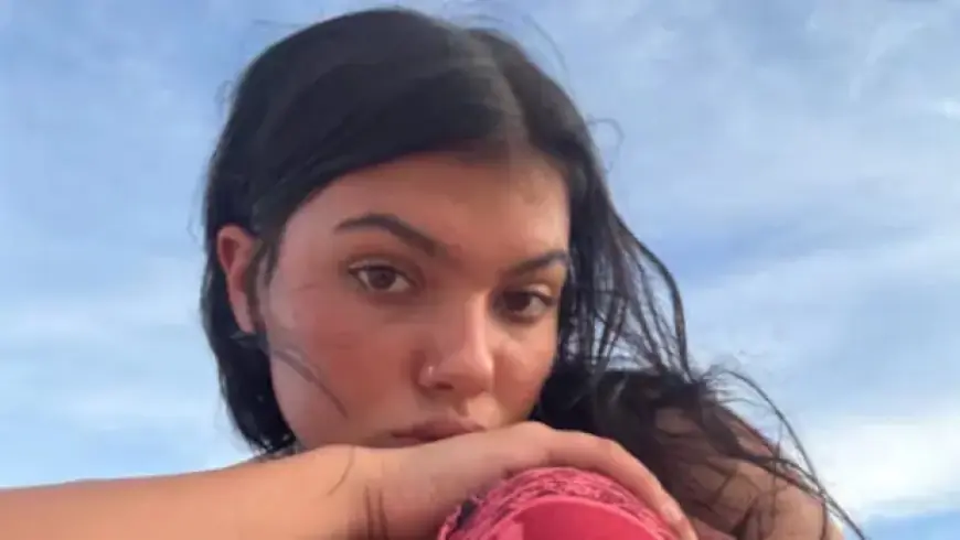 Australia to Cull Dingoes That Surrounded Piper James on Beach